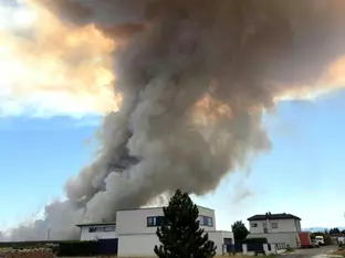 Erneuter Brand im Föhrenwald im Bezirk Neunkirchen