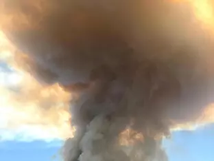 Evakuierung bei Brand im Föhrenwald im Bezirk Neunkirchen