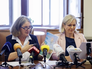 Grazer Bürgermeisterin Kahr vor Wiederwahl im Gemeinderat