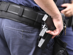Junge Einbrecher in Wien nach Schreckschuss gefasst