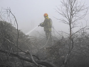 Waldbrand in Ostbelgien laut Behörden "eingekreist"