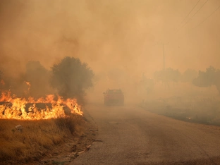 U-Haft gegen zwei Männer nach Waldbrand nahe Athen