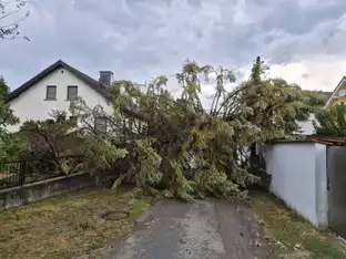 Zahlreiche Unwettereinsätze in Teilen Österreichs