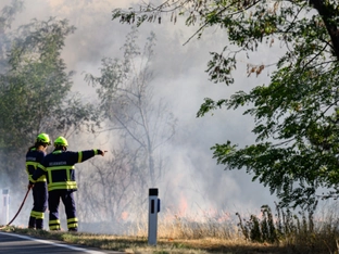 Waldbrand in Niederösterreich unter Kontrolle