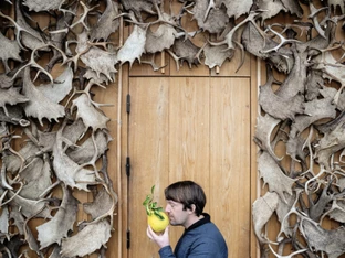 Top-Restaurant Noma ist nach Skandalen zurück