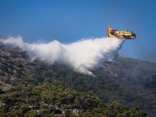 Waldbrand auf griechischer Insel Salamis unter Kontrolle