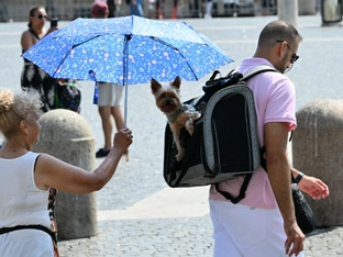 Hitzewelle erreicht auch in Italien Höhepunkt