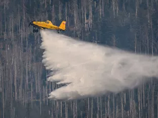 Evakuierungen bei Waldbrand in Friaul