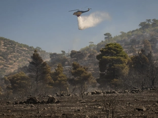 Erneut Waldbrand in der Nähe von Athen ausgebrochen