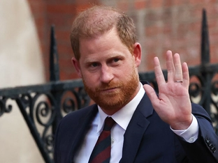 Harry zieht sich aus Naturschutzorganisation zurück