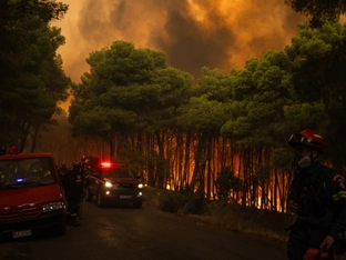 Waldbrände in Südeuropa toben weiter