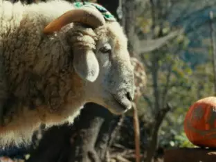 "Sheep" im ZDF: Wenn Düringer und Minichmayr Schafe sprechen