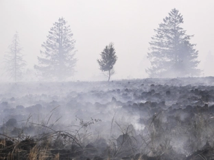 Klimawandel könnte Waldbrandfläche in Europa verdreifachen
