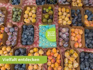 Neugierig bleiben, Neues entdecken