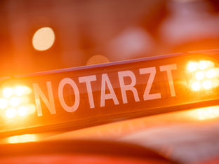 Pkw gegen Pferdekutsche in NÖ: Zwei Verletzte
