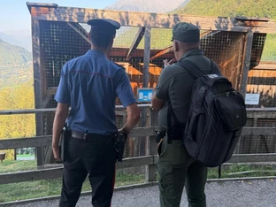 Gemeinsame Kontrollen in Tirol: Tierauffangstationen im Visier