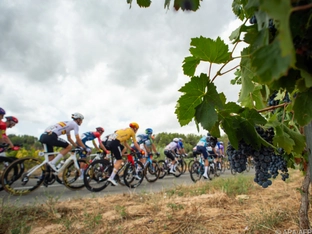 15. Vuelta-Etappe wegen Hitze verkürzt
