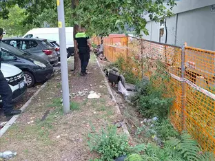 Einsätze der Stadtpolizei und der SEAB für ein sauberes Stadtbild