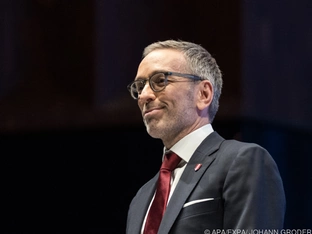 Israel begrüßt Kickls Rede in Straßburg