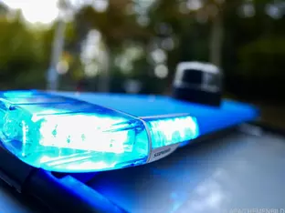 Auslieferung nach Fund von eingemauerter Leiche in NÖ