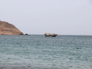 Houthi nehmen wichtige Hafenstadt Mokka im Jemen ein