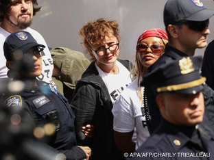 Susan Sarandon bei Anti-Netanyahu-Protest festgenommen