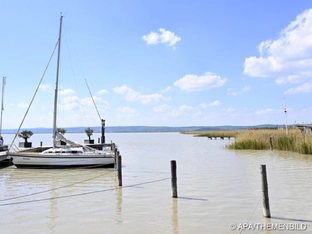 Neusiedler See: Wasserstand kratzt am Tiefstwert aus 2022