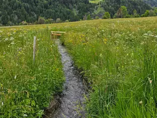Veranstaltungsreihe macht immaterielles Kulturerbe erlebbar