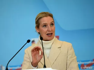 AfD-Weidel wünscht sich Kooperation mit FPÖ auf EU-Ebene