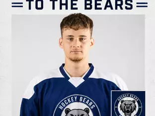 Bears auf dem Weg nach Padua