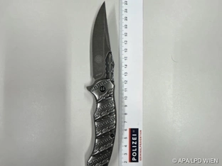 Streit unter ehemaligen Geschäftspartnern in Wien eskaliert