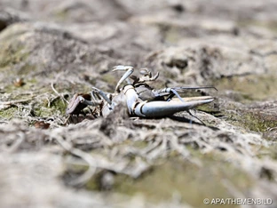 Drittwärmster September seit Aufzeichnungsbeginn in Europa