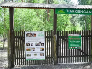 Mädchen in deutschem Wildpark von Wolf schwer verletzt