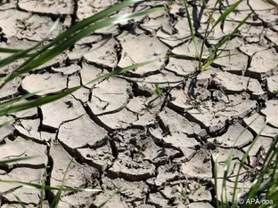 Folgen des Klimawandels nehmen laut Bericht deutlich zu