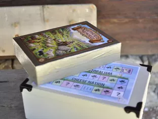 Gewinner des Spielewettbewerbs von campus transhumanza stehen fest