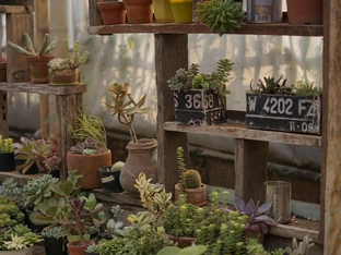 Ein Garten ist mehr als schöne Pflanzen