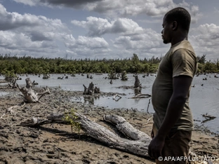 WWF Living Planet Report ortet schrumpfende Wildtierbestände