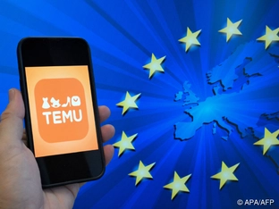 Temu macht nach Geldstrafe Zugeständnisse an EU