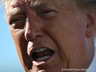 Trump verspricht Millionen für Hinweise auf Wahlbetrug
