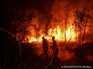 Vier Tote bei Bekämpfung von Waldbränden in Indonesien