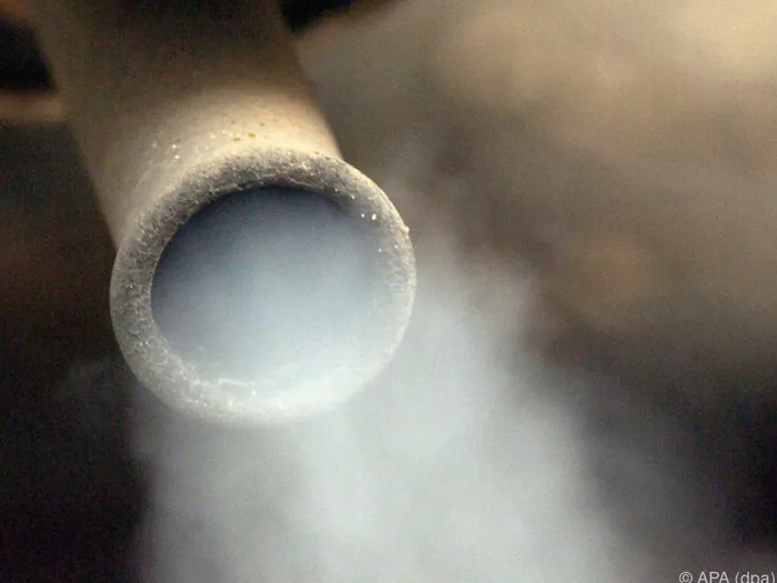 Wiederöffnung der Claudia-Augusta-Straße: Grüne fordern Daten