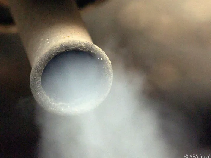 Grüne in Bruneck setzen auf Sensibilisierung für saubere Luft