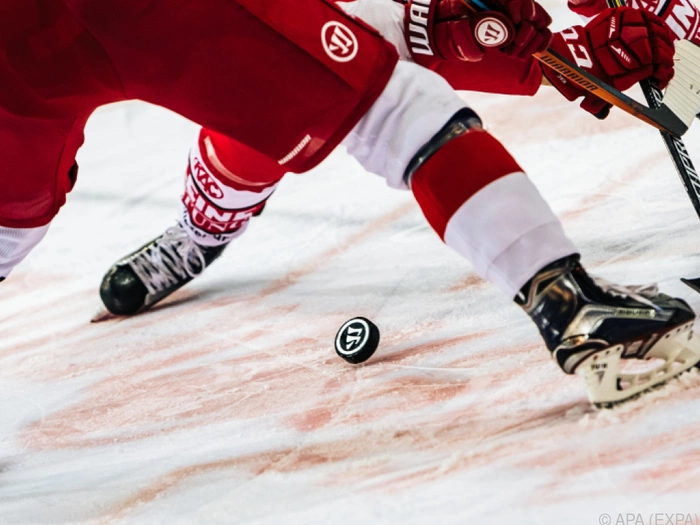 Start der Viertelfinalserie zwischen Bozen und Olimpija Ljubljana