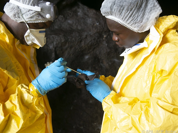 WHO ruft wegen Ebola in DR Kongo und Uganda Alarm aus