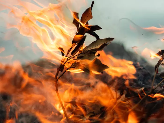 Erneut Waldbrand am Gardasee