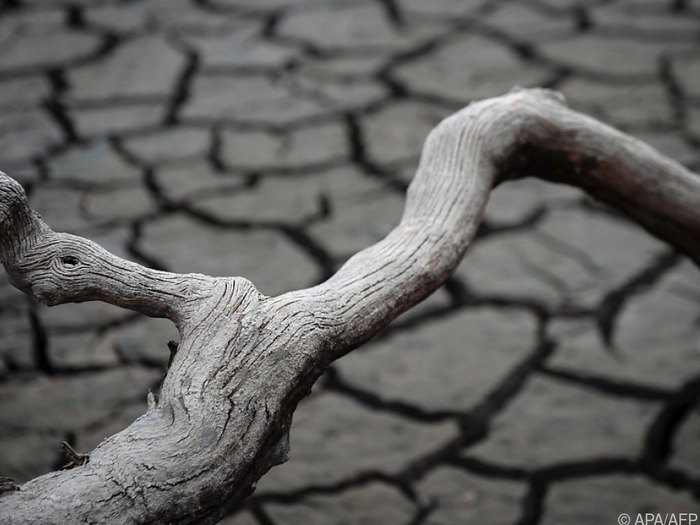 Meteorologen beklagen zunehmende Angriffe in sozialen Netzwerken