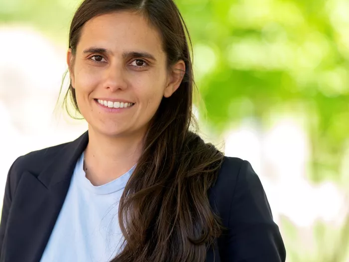 Grüne fordern Stopp für immer größere Lifte