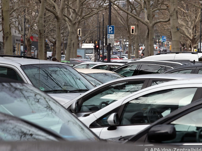 Grüne fordern weiterhin Parksystem mit Vignetten
