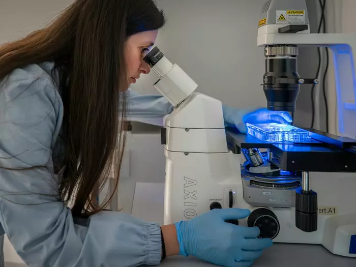 Grund zum Feiern für das Institut für Biomedizin