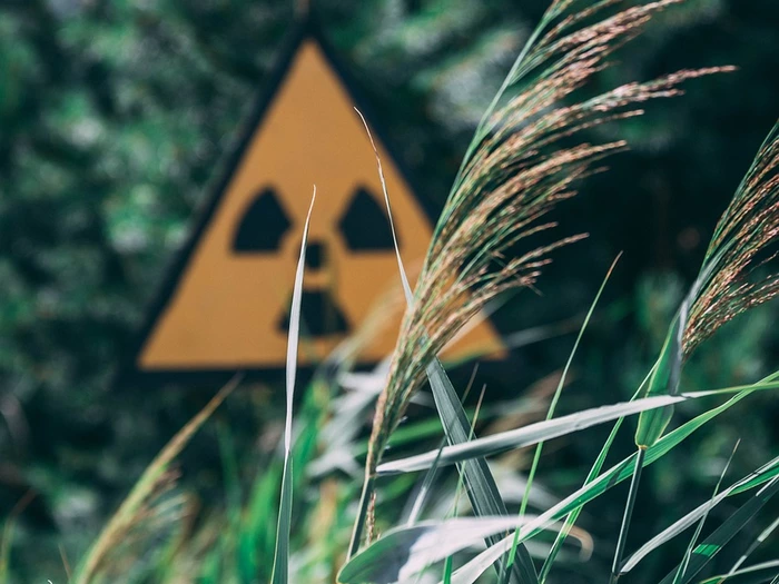 Grüne warnen vor Atomenergie in Italien